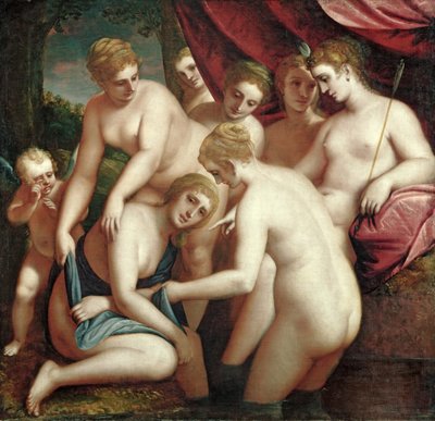 Diana Discovering the Pregnancy of Callisto by Luca Cambiaso
